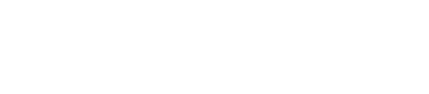 NE Meter Logo white
